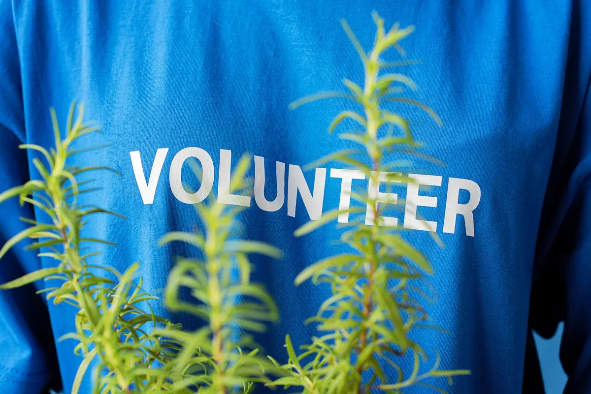 A Beginner's Guide to Volunteering with Local Community Groups